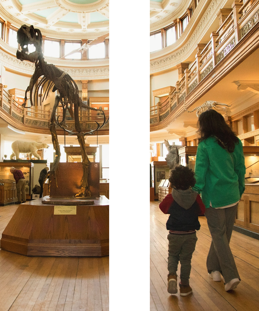 Image en forme du symbole pause d’une mère et de son enfant au musée.