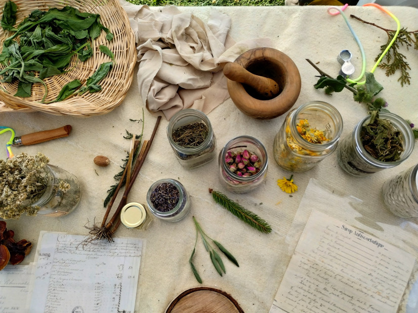 Gardens: Where History And Food Meet (in English)