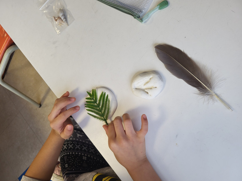 Atelier familial dans le cadre de la Semaine de la culture scientifique